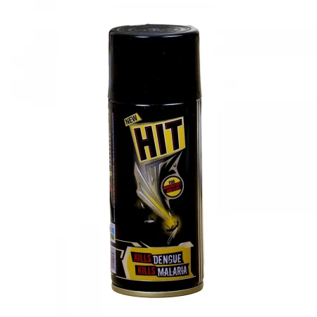 Hit Mosquito and Fly Killer Spray, 125 ML